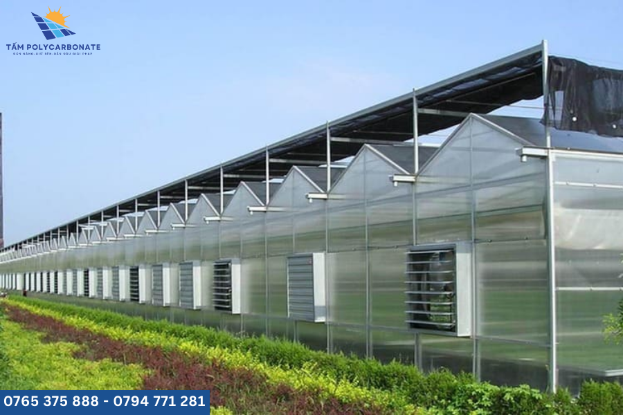Nhà kính từ tấm poly đặc 6mm