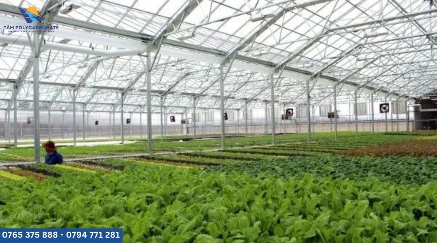 tấm lợp lấy sáng poly rỗng 10mm